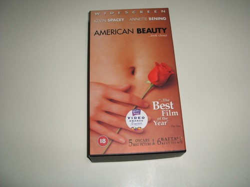 American beauty cardboard - american,
